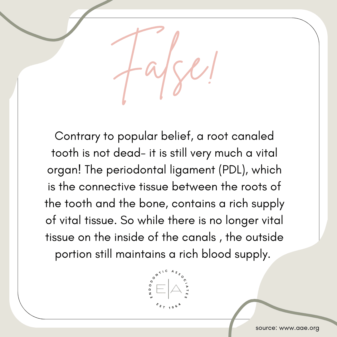 answer false sytm 2024