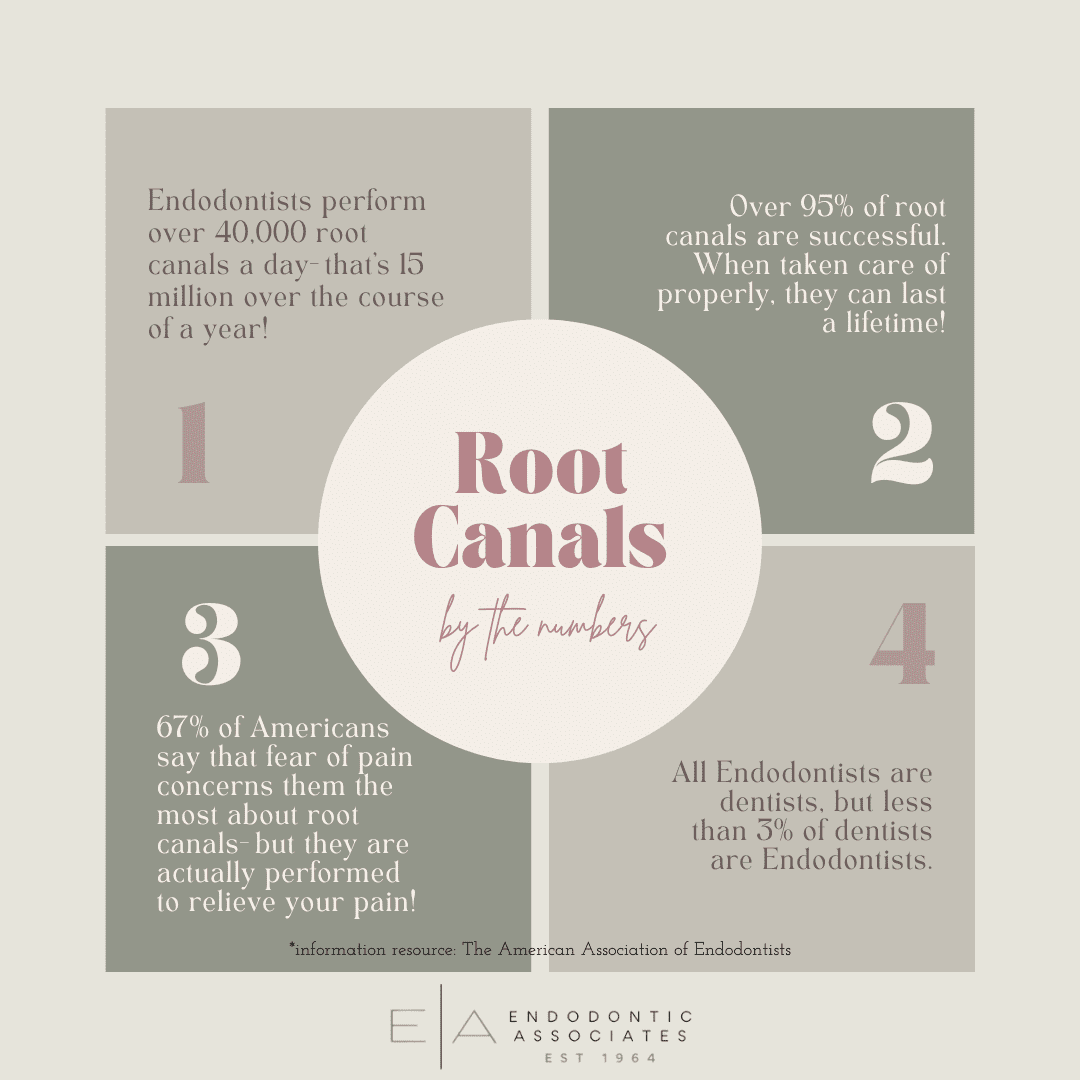by the numbers sytm 2024