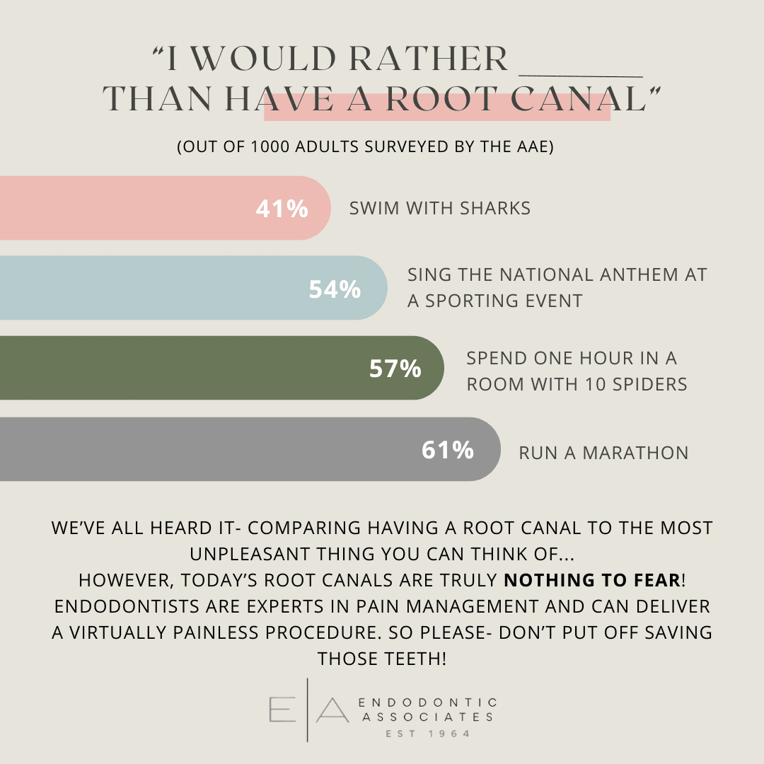 i would rather sytm 2024