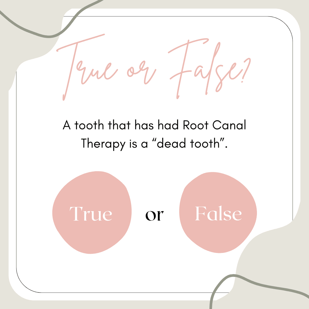 true false sytm 2024